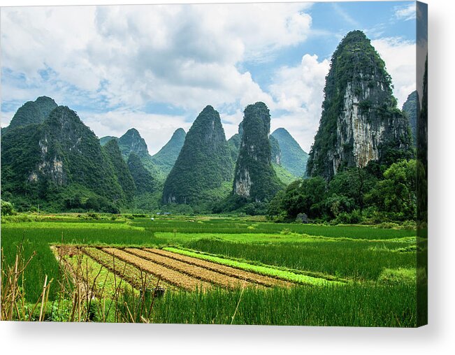 Karst Acrylic Print featuring the photograph Karst mountains and rural scenery #45 by Carl Ning