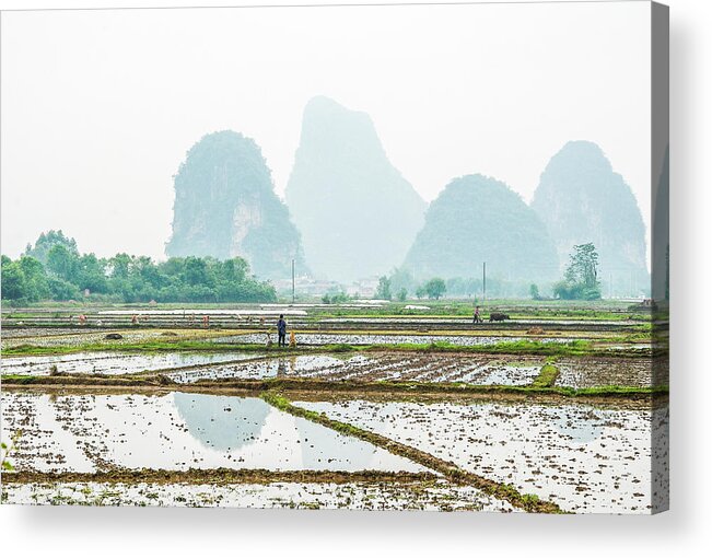 The Beautiful Karst Rural Scenery In Spring Acrylic Print featuring the photograph Karst rural scenery in spring #48 by Carl Ning