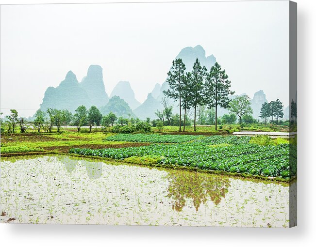 The Beautiful Karst Rural Scenery In Spring Acrylic Print featuring the photograph Karst rural scenery in spring #49 by Carl Ning