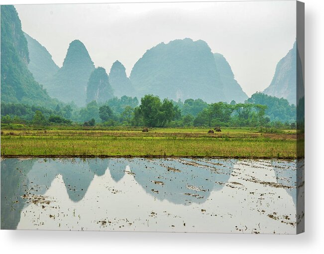 The Beautiful Karst Rural Scenery In Spring Acrylic Print featuring the photograph Karst rural scenery in spring #51 by Carl Ning