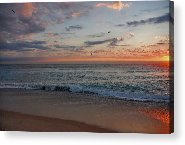 Seagull Acrylic Print featuring the photograph 8- Sunrise by Joseph Keane