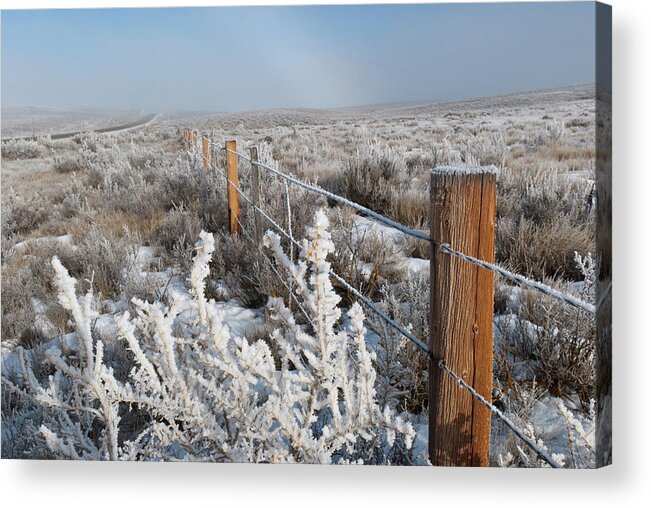 Steamboat Springs Acrylic Print featuring the photograph A Frosty and Foggy Morning on the Way to Steamboat Springs by Cascade Colors