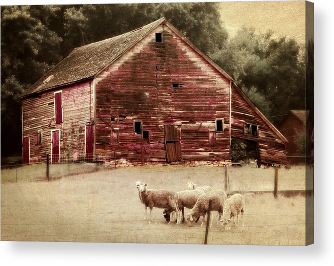 Barn Acrylic Print featuring the photograph A Grazy Day by Julie Hamilton