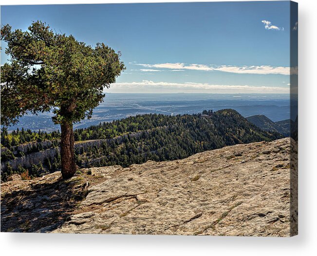 Landscape Acrylic Print featuring the photograph A Tree on the Edge by Michael McKenney