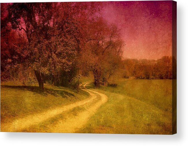 Country Acrylic Print featuring the photograph A Winding Road - Bayonet Farm by Angie Tirado