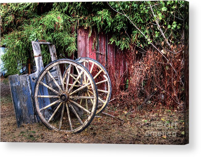Horse Acrylic Print featuring the photograph Abandoned cart by Jim And Emily Bush