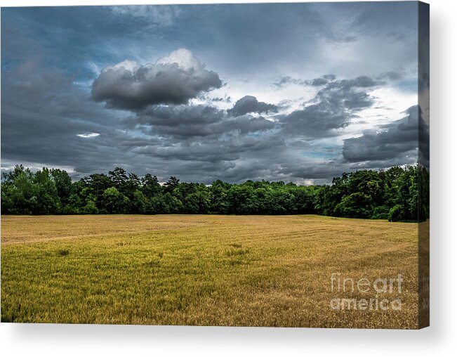 Acre Acrylic Print featuring the photograph Acre with corn with forest and cloudy sky by Andreas Berthold