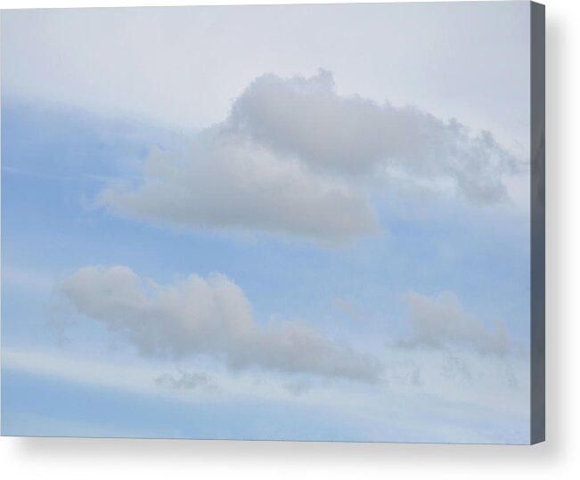 Banks Acrylic Print featuring the photograph Afloat by JAMART Photography