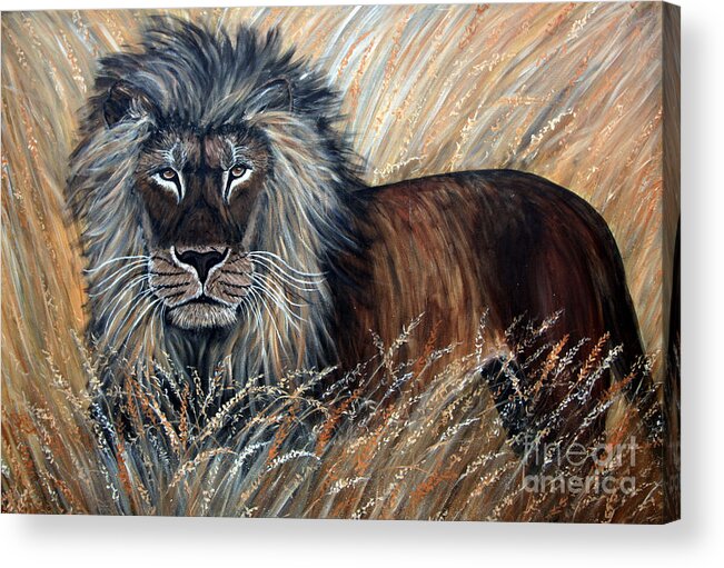 Lion Acrylic Print featuring the painting African Lion 2 by Nick Gustafson