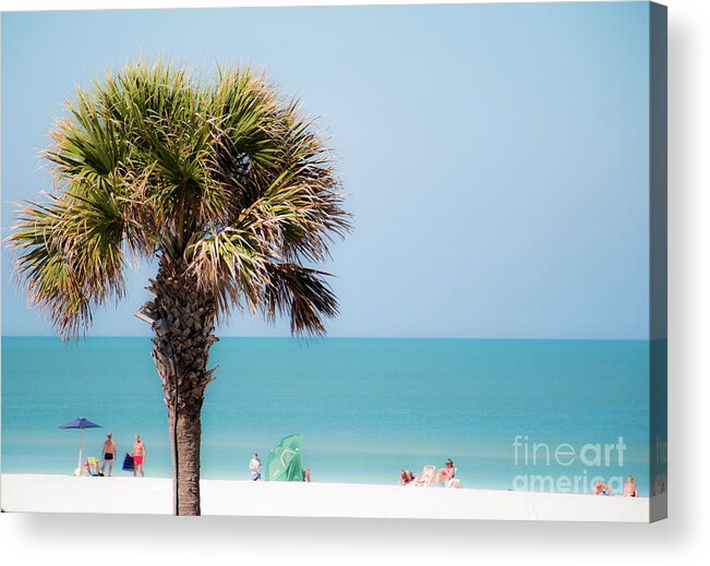 Tree Acrylic Print featuring the photograph Against the Blue by JCV Freelance Photography LLC
