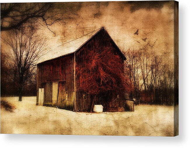 Old Barn Acrylic Print featuring the photograph Alone at Sunset by Mary Timman