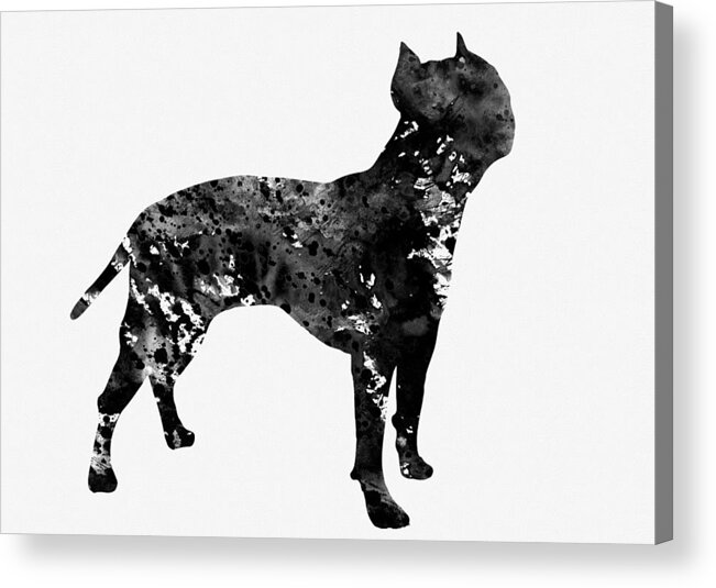 Amstaff Acrylic Print featuring the digital art Amstaff by Erzebet S