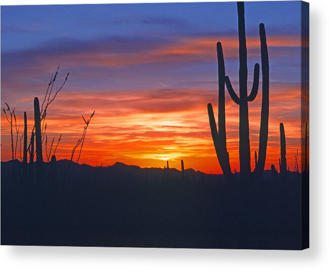 Usa Acrylic Print featuring the photograph Arizona desert sunset by Gary Corbett