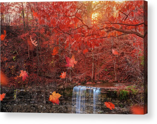 Bruce Trail Acrylic Print featuring the photograph Autumn Falls by Tracy Munson