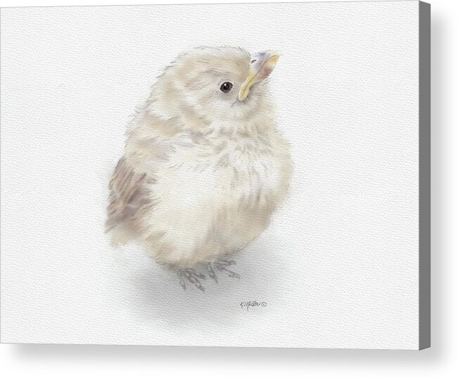 Bird Acrylic Print featuring the painting Baby Sparrow by Kathie Miller
