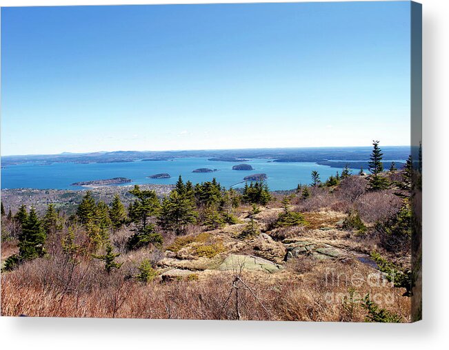 Scenic Tours Acrylic Print featuring the photograph Bar Harbor From Cadillac by Skip Willits