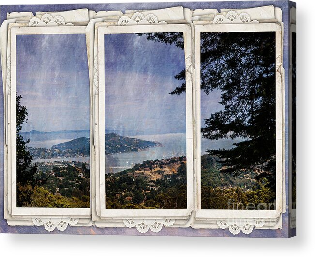 Bay Acrylic Print featuring the photograph Bay Area by Judy Wolinsky