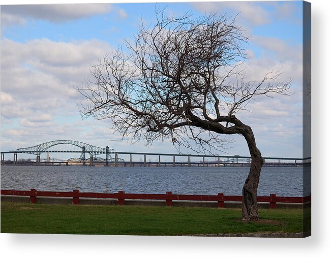 Bayonne Acrylic Print featuring the photograph Bayonne by Steven Richman