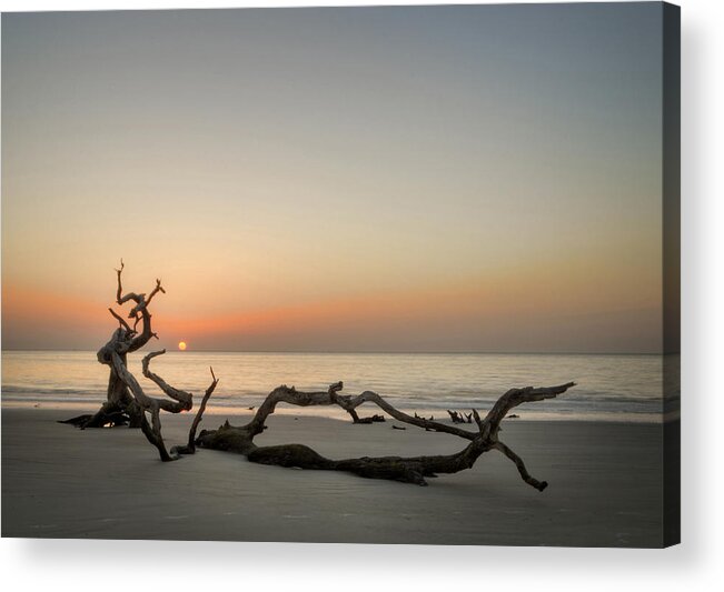 Driftwood Acrylic Print featuring the photograph Beach Art by Greg and Chrystal Mimbs