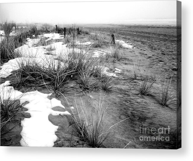 Beach Acrylic Print featuring the photograph Beach Creme Frosting by DazzleMePhotography