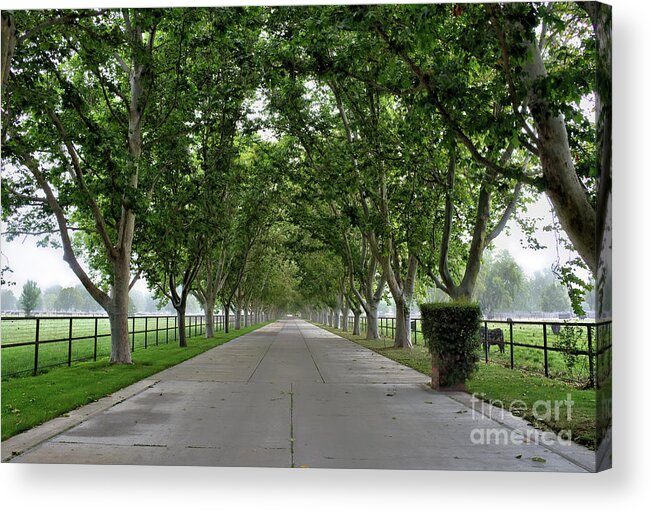 Entrance Acrylic Print featuring the photograph Entrance To River Edge Farm by Eddie Yerkish