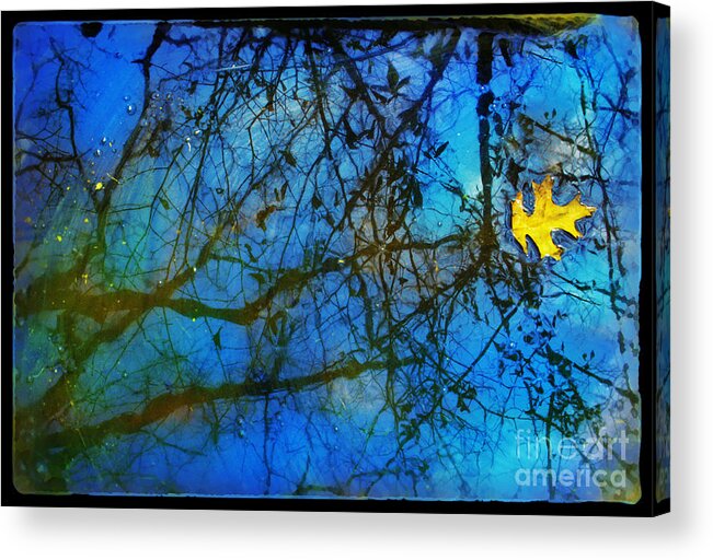 Nature Photography Acrylic Print featuring the photograph Beautiful mud puddle by Gina Signore
