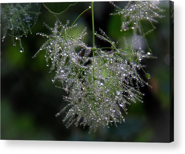 Fine Art Acrylic Print featuring the photograph Bejewelled Smoke by Michael Friedman