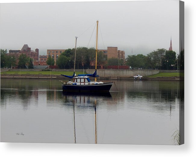 Summer Acrylic Print featuring the photograph Beluga Sails by Wild Thing