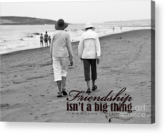 Best Friends Acrylic Print featuring the photograph Best Friends by Brenda Giasson