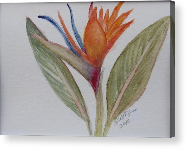 Bird Of Paradise Acrylic Print featuring the painting Bird of Paradise by Donna Walsh