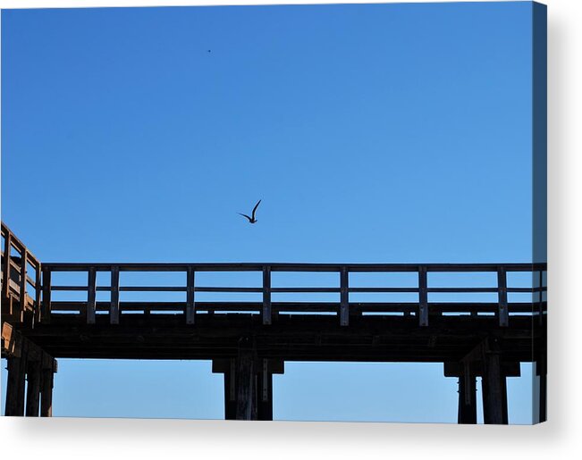 Sky Acrylic Print featuring the photograph Bird Over Pier by Matt Quest