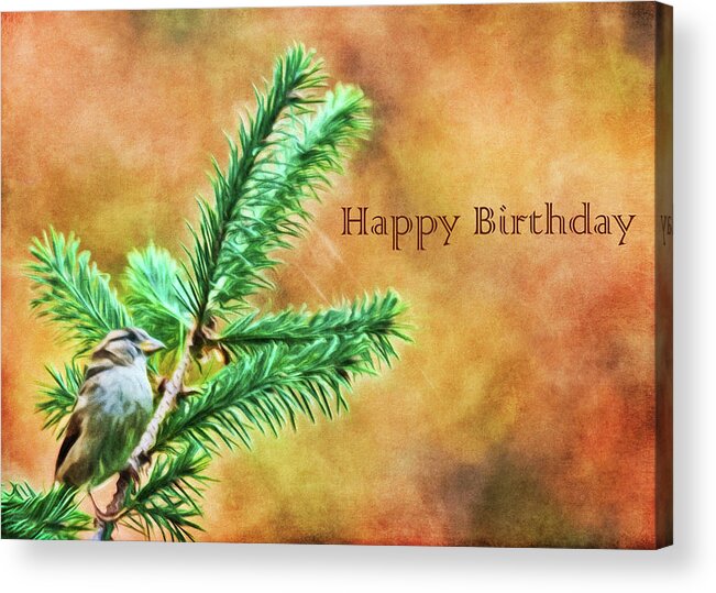Pine Acrylic Print featuring the photograph Birthday Card by Cathy Kovarik