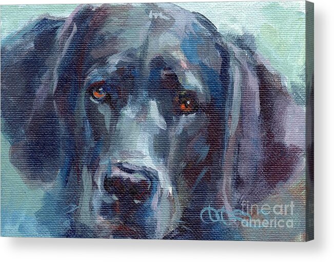 Black Lab Acrylic Print featuring the painting Black Lab Bandit by Kimberly Santini