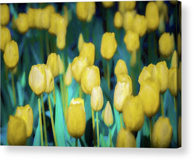 Digital Painting Acrylic Print featuring the photograph Blooms of Yellow by James Barber