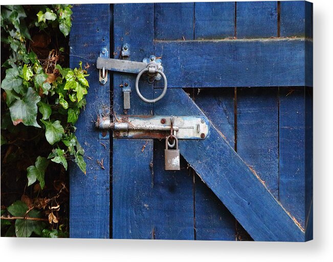 Abstract Blue Door Brass Lock Bolt Rust Wooden Ring Handle Ivy Garden Screws Green Galvanised Fittings Leaves Acrylic Print featuring the photograph Blue Door Lock and Bolt by Jeff Townsend