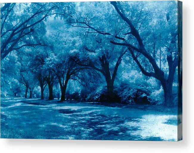 Landscape Acrylic Print featuring the photograph Blue Way by Jean Wolfrum