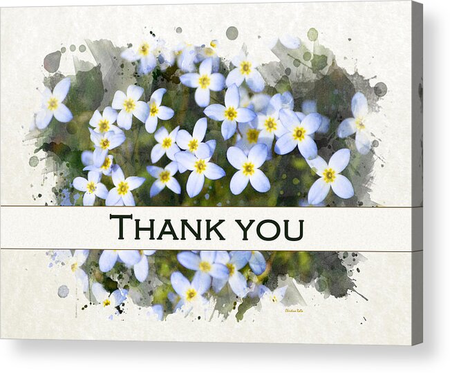 Thank You Acrylic Print featuring the mixed media Bluet Flowers Watercolor Thank You Card by Christina Rollo