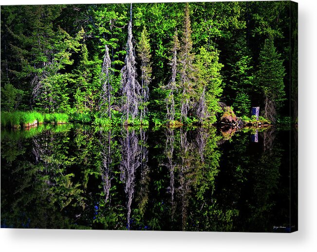 Trees Acrylic Print featuring the photograph Bond Falls - Michigan 001 - Reflection by George Bostian