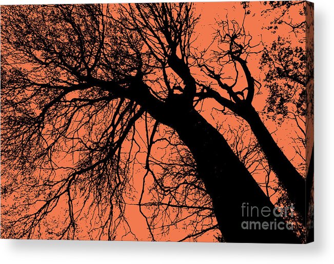 Silhouette Acrylic Print featuring the digital art Branching Out Orange BG by Eddie Barron