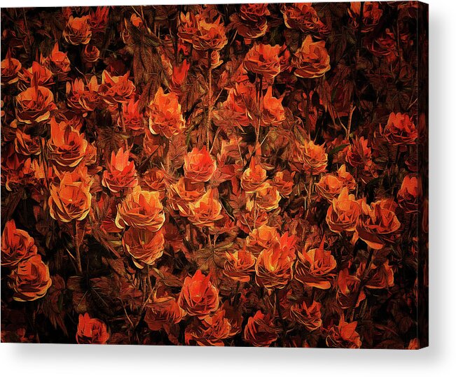 Amber Queen Acrylic Print featuring the painting Bronze roses by Jan Keteleer
