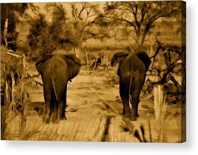 African Elephants Acrylic Print featuring the photograph Brothers by Douglas Barnard