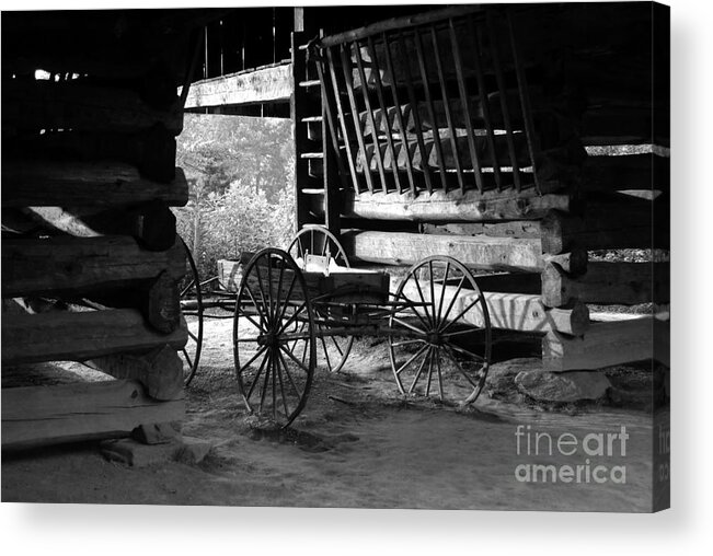 Buggy Acrylic Print featuring the photograph Buggy by David Lee Thompson