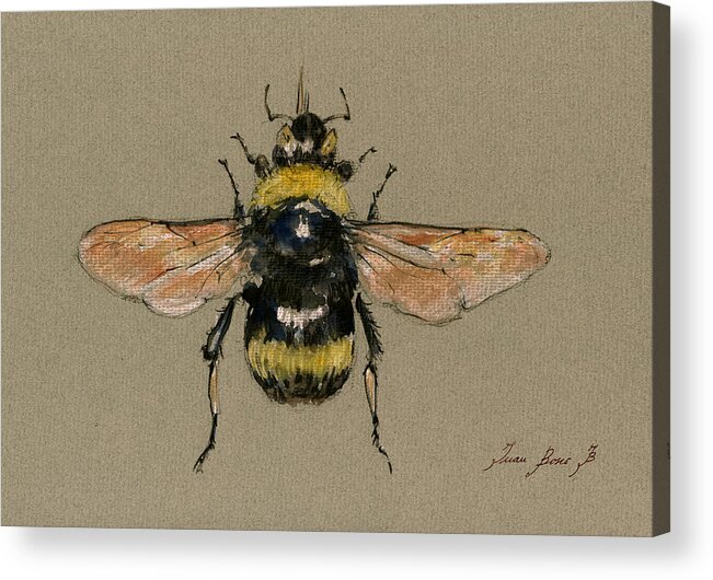 Bumble Bee Acrylic Print featuring the painting Bumble bee art wall by Juan Bosco