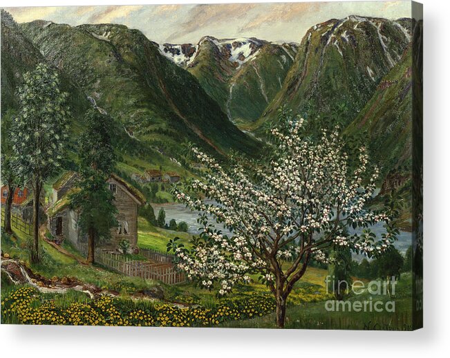 Nature Acrylic Print featuring the painting Buttercups and apple trees by O Vaering