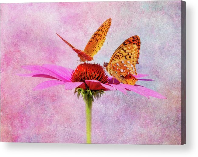 Photography Acrylic Print featuring the digital art Butterflies and Beauty by Terry Davis