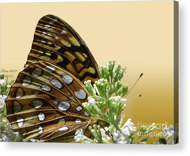 Photoshop Acrylic Print featuring the photograph Butterfly by Melissa Messick