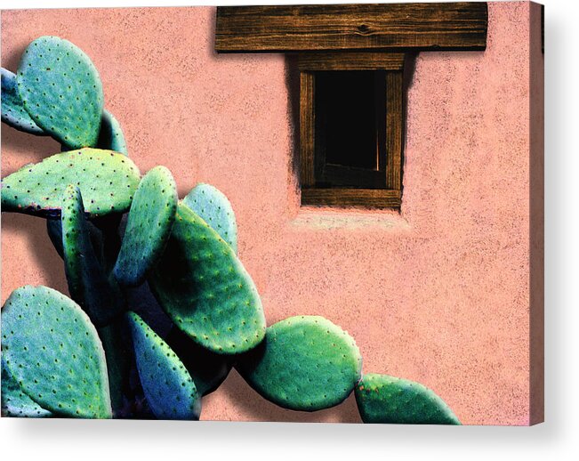 Cactus Acrylic Print featuring the photograph Cactus by Paul Wear