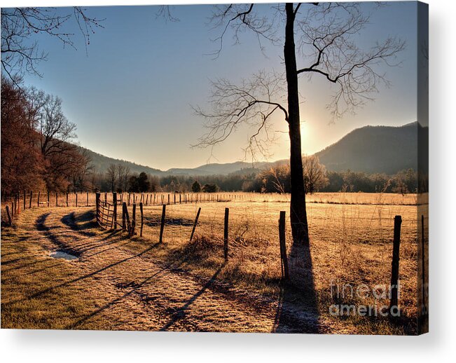 Cades Acrylic Print featuring the photograph Cades Cove, Spring 2017,I by Douglas Stucky