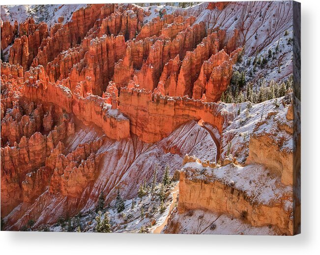 Canyon Acrylic Print featuring the photograph Canyon Trail by John Roach
