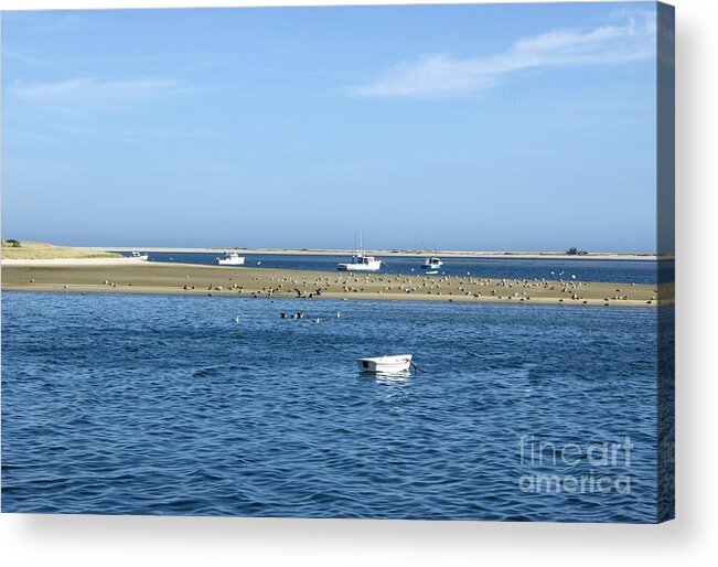 Usa Acrylic Print featuring the photograph Cape Cod Tranquility by David Birchall